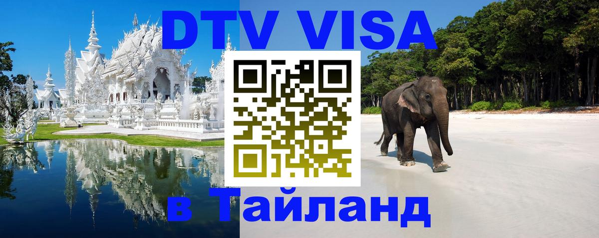 Оформление DTV визы под ключ: стоимость и тарифы, только загранпаспорт - 